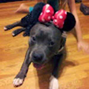 Meet your Posher, Christine